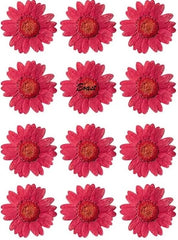 Pressed Daisy Flower - Red
