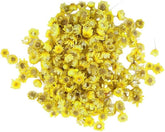 YELLOW COLOR STAR FLOWER BOX