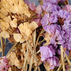 Multy Dried Statice Flower FL5101