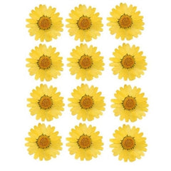 DAISY FLOWER PACK OF 12PC YELLOW