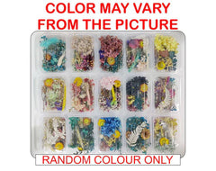 3D DRY FLOWER BOX RANDOM COLOUR