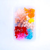 HYDRANGEA DRY FLOWER BOX