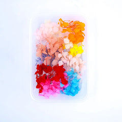 HYDRANGEA DRY FLOWER BOX