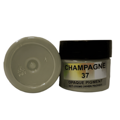 CHAMPAGNE OPAQUE RESIN PIGMENT 20 GRAM
