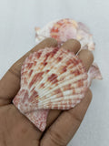 OCEAN ITEM A PACK OF 40 TO 50GM