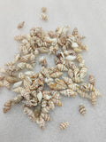 OCEAN ITEM B PACK OF 40 TO 50GM
