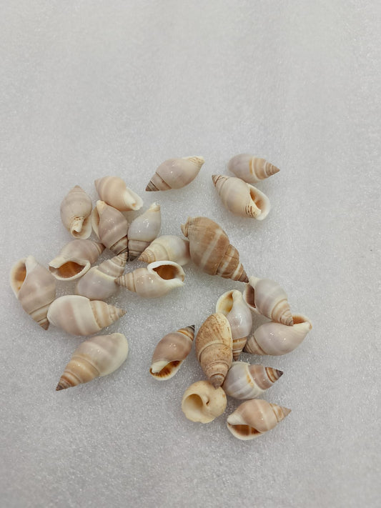 OCEAN ITEM F PACK OF 40 TO 50GM