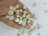 OCEAN ITEM G PACK OF 40 TO 50GM