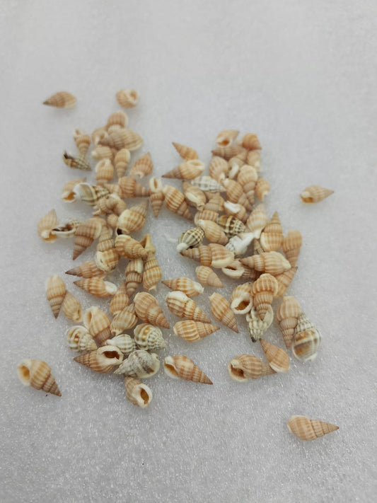 OCEAN ITEM J PACK OF 40 TO 50GM