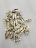 OCEAN ITEM L PACK OF 40 TO 50GM
