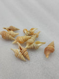 OCEAN ITEM P PACK OF 40 TO 50GM
