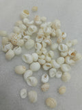 OCEAN ITEM E PACK OF 40 TO 50GM