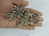 OCEAN ITEM I PACK OF 40 TO 50GM