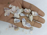 OCEAN ITEM N PACK OF 40 TO 50GM