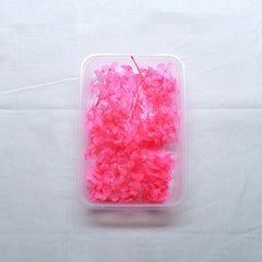 HYDRANGEA DRY FLOWER BOX