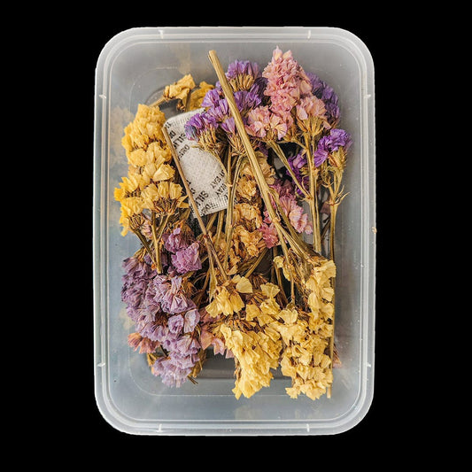 Multy Dried Statice Flower FL5101