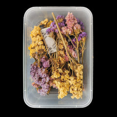 Multy Dried Statice Flower FL5101