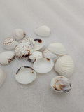 OCEAN ITEM O PACK OF 40 TO 50GM