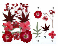 12 In 1 Pressed Flowers Fl025