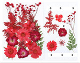 21 In 1 Pressed Flowers Fl047