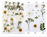 40 In 1 Pressed Flowers fl150