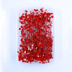 Baby Breath Dry Flower RED