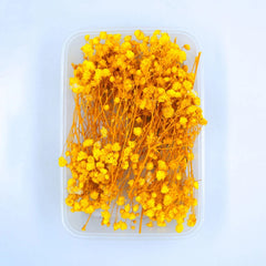 Baby Breath Dry Flower YELLOW