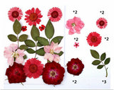 FL032 13 IN 1 PRESSED FLOWER