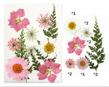 FL001 10 IN 1 PRESSED FLOWER