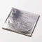 SILVER LEAVES FOIL SHEET PACK  OF  10PC