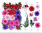 FL077 25 IN 1 PRESSED FLOWER