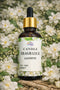 CANDLE FRAGRANCE JAISMINE  25ML