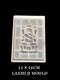 LAXMI  G  SILICON  MOULD