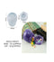 sm0561 storage box  mould/mold
