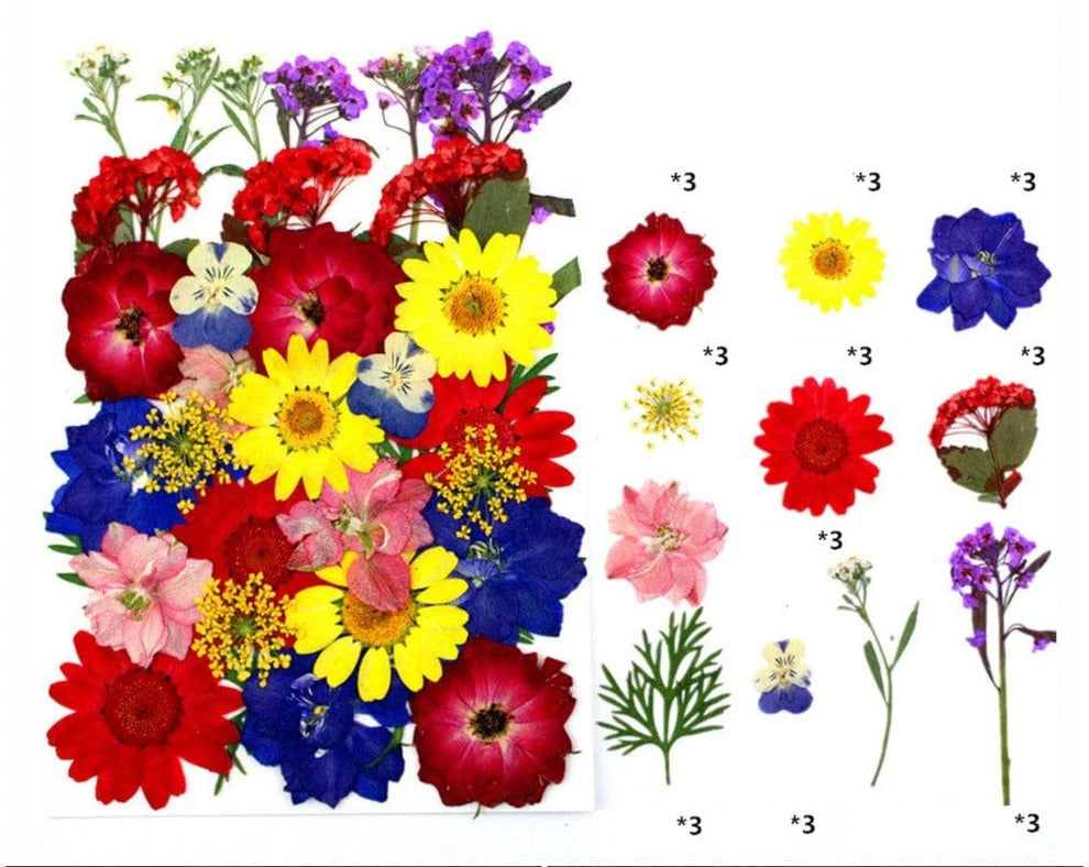 FL120  33 IN 1 PRESSED FLOWER