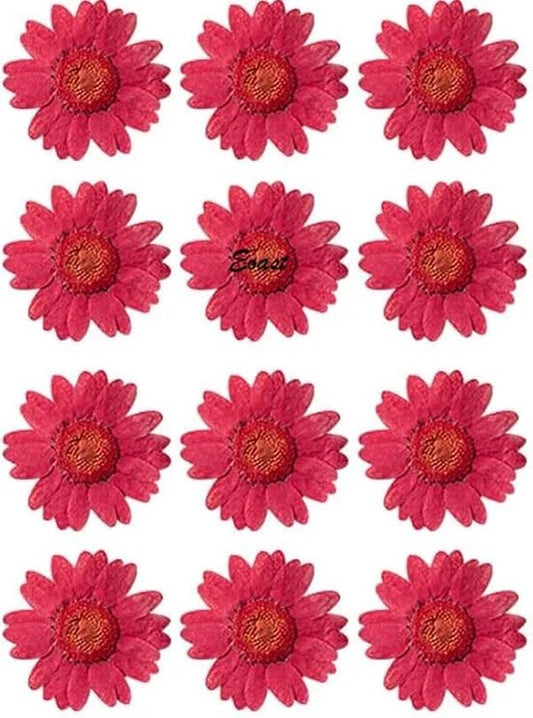 Pressed Daisy Flower - Red