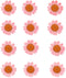 Pressed Daisy Flower - Pink