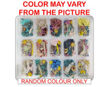 3D DRY FLOWER BOX RANDOM COLOUR