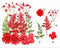 FL002 10  IN 1 PRESSED FLOWER