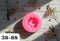 HBR3883  FLOWER  PINK MOULD