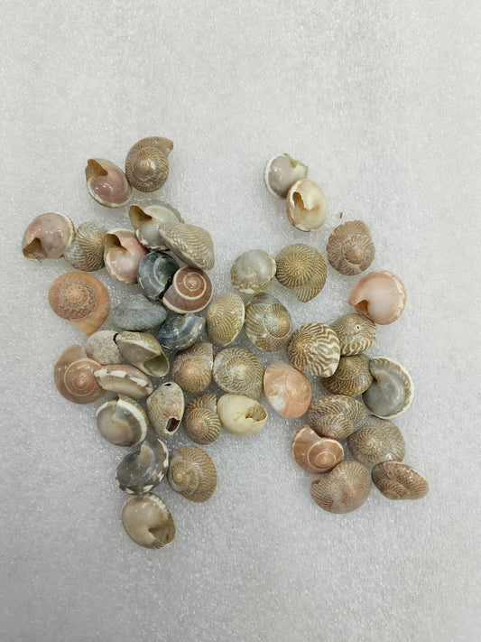 OCEAN  ITEM  C PACK OF  40 TO  50GM