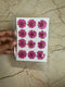 Pressed Daisy FloweR MAGENTA