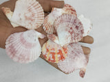 OCEAN  ITEM  A PACK OF  40 TO  50GM