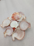 OCEAN  ITEM  A PACK OF  40 TO  50GM