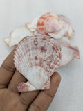 OCEAN  ITEM  A PACK OF  40 TO  50GM
