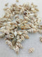 OCEAN  ITEM  B PACK OF  40 TO  50GM