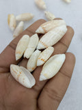 OCEAN  ITEM  H PACK OF  40 TO  50GM