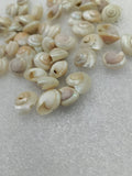 OCEAN  ITEM  G PACK OF  40 TO  50GM