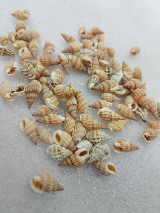 OCEAN  ITEM  J PACK OF  40 TO  50GM