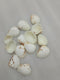 OCEAN  ITEM  K PACK OF  40 TO  50GM